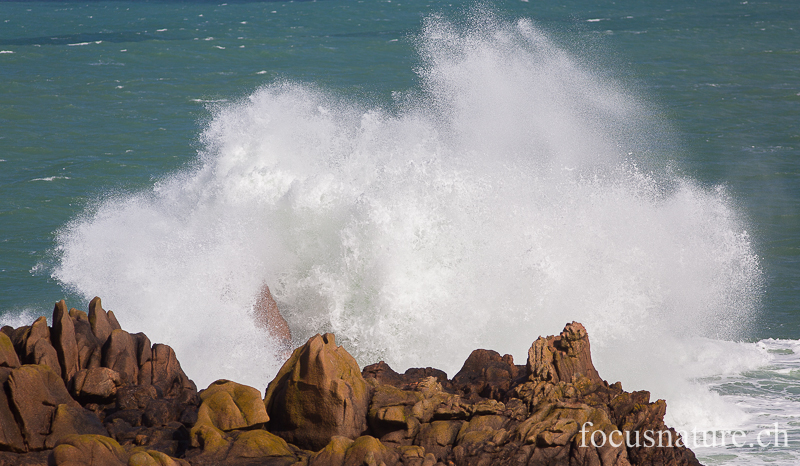 Vague 3626.jpg - Ploumanac'h, Finistère (23 mars 2014)